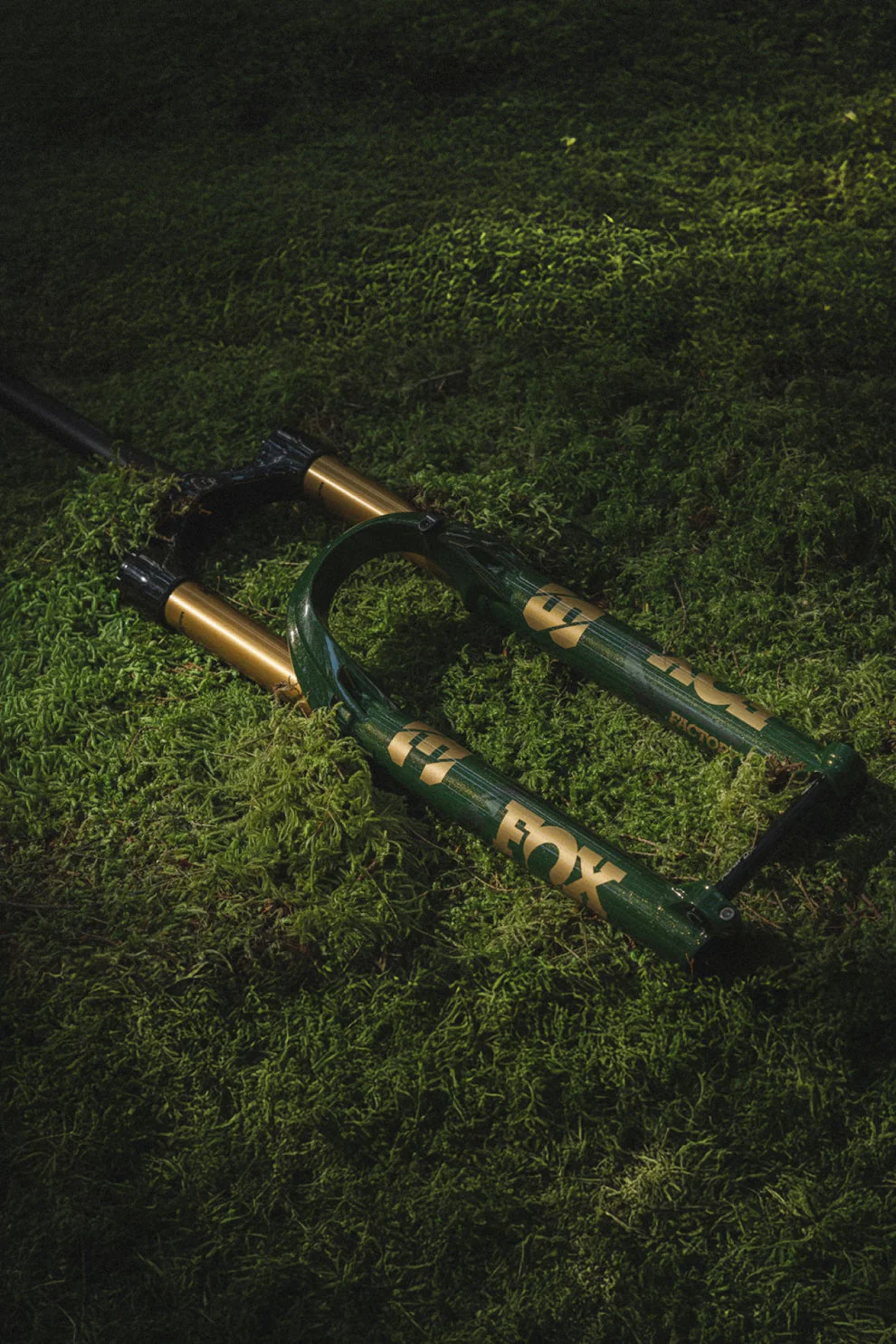 Fox 38 Limited Edition - 44mm Offset - Image 3