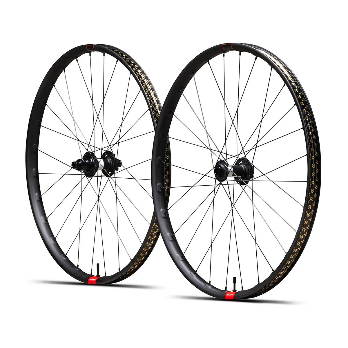 Reserve 30|DH DT 350 DEG Degrees of Freedom Wheelset